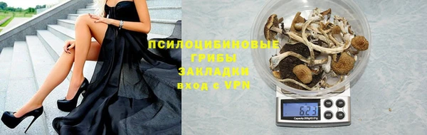мдпв Арсеньев
