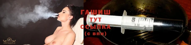 сатива Аркадак
