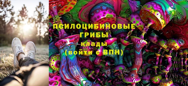сатива Аркадак