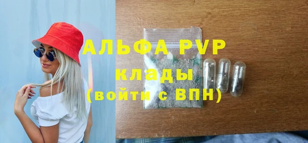 сатива Аркадак